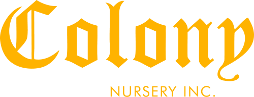 Colony Nursery Logo